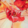 flower red orange