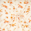 A 4556-6_WINTER-LIFE_FOX