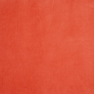 E 2021-66_VELVET E 2021-66_VELVET